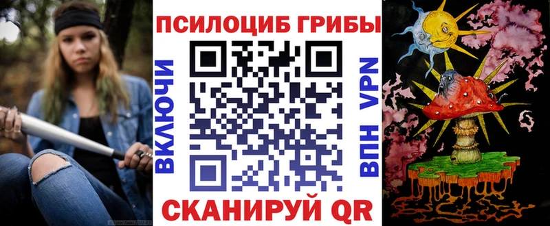 Псилоцибиновые грибы Cubensis  MEGA ONION  Пыталово  даркнет сайт 